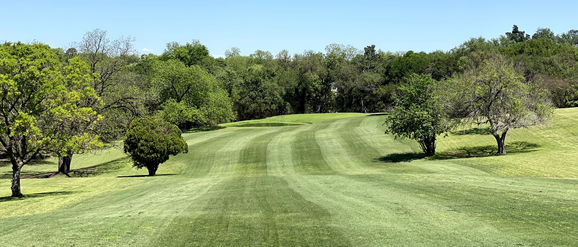 The Pumpkin Open — Hancock Golf Course Hyde Park