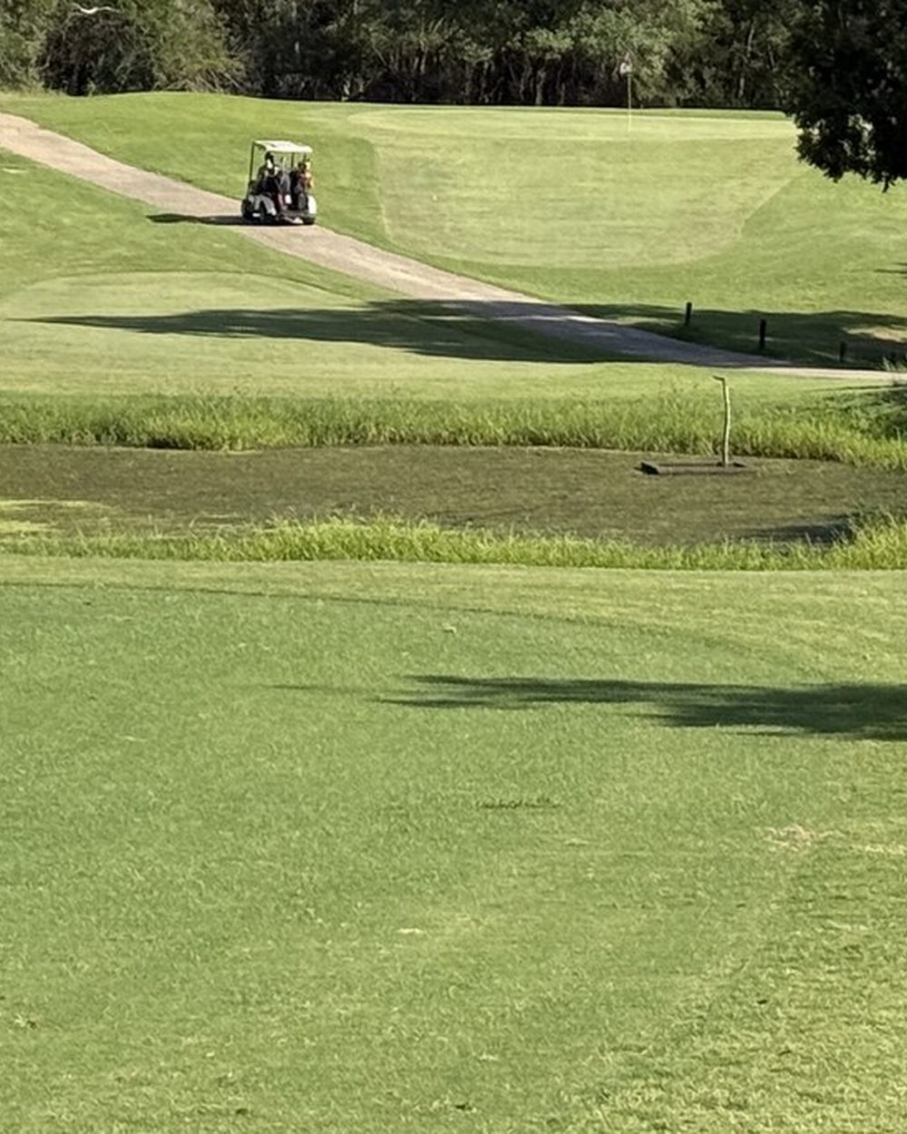Lions Municipal Golf Course &middot; view 1 of 4