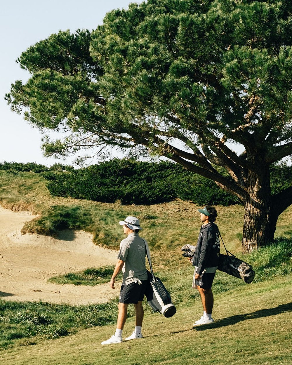 Two golfers carrying their bags past a pine tree on a links course
