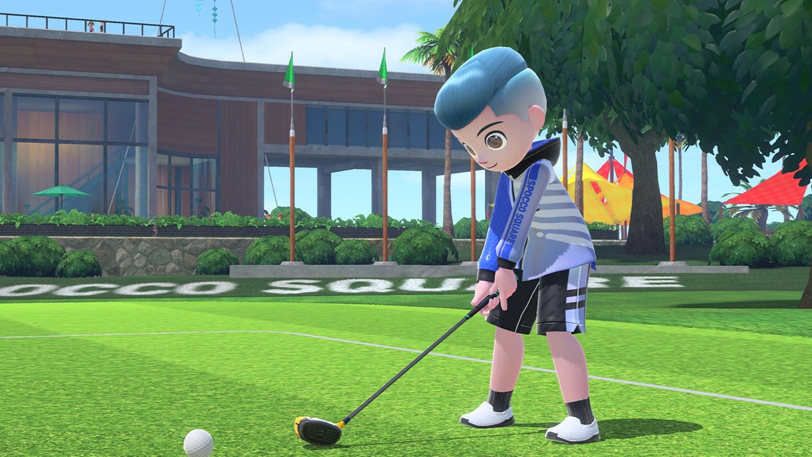2006–2026 · Nintendo Wii Sports Golf to Switch Sports · view 3 of 3