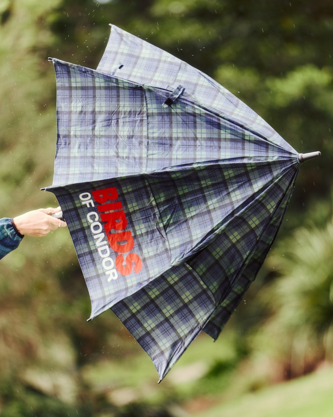 Lawn Pawn Umbrella &middot; view 4 of 4