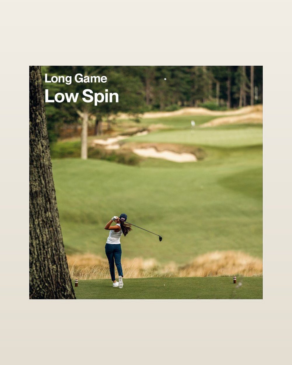 Titleist Pro V1 &middot; view 1 of 1