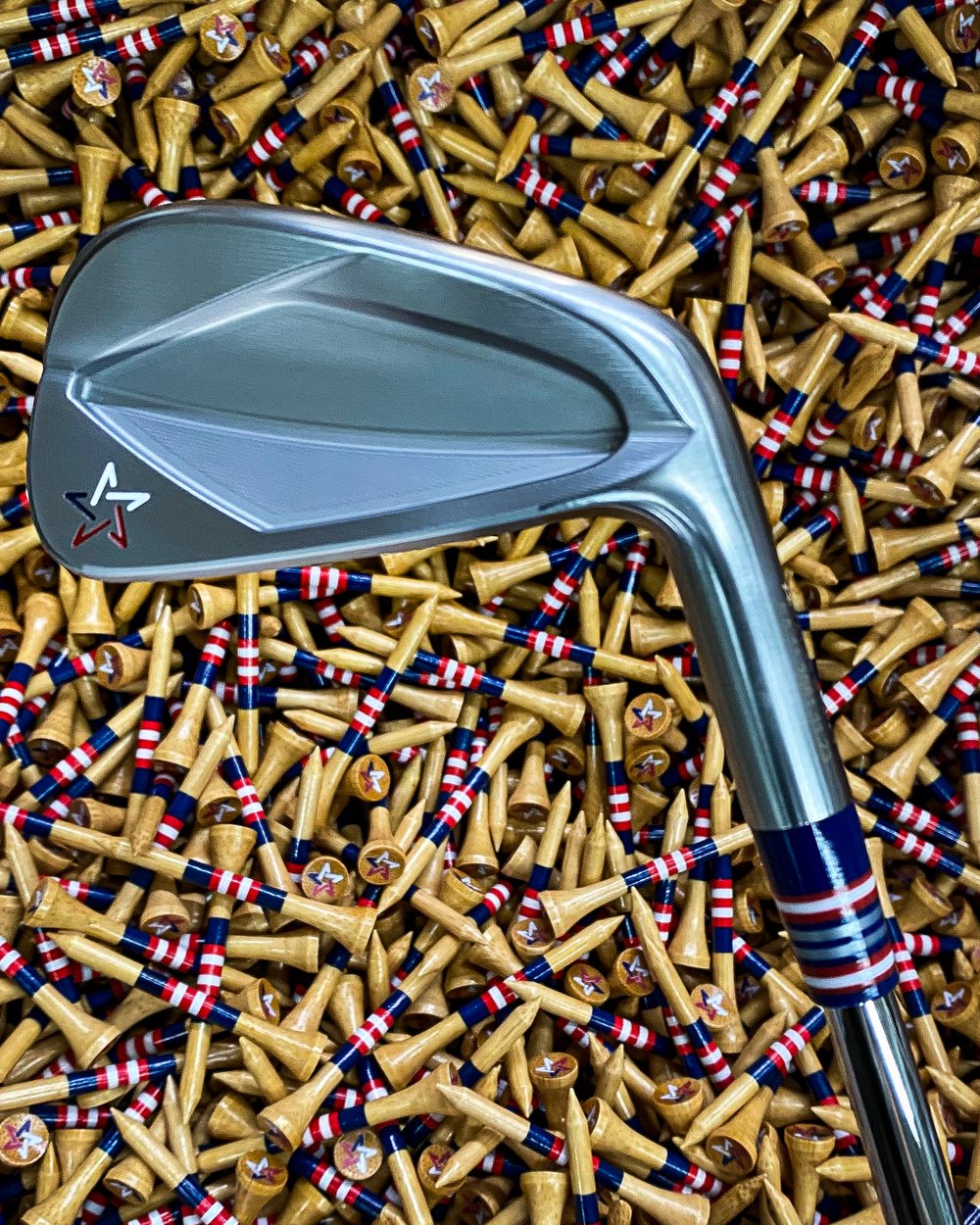 Artisan Golf · Fort Worth, TX Muscle Back, Half Cavity & Full Cavity · view 3 of 4