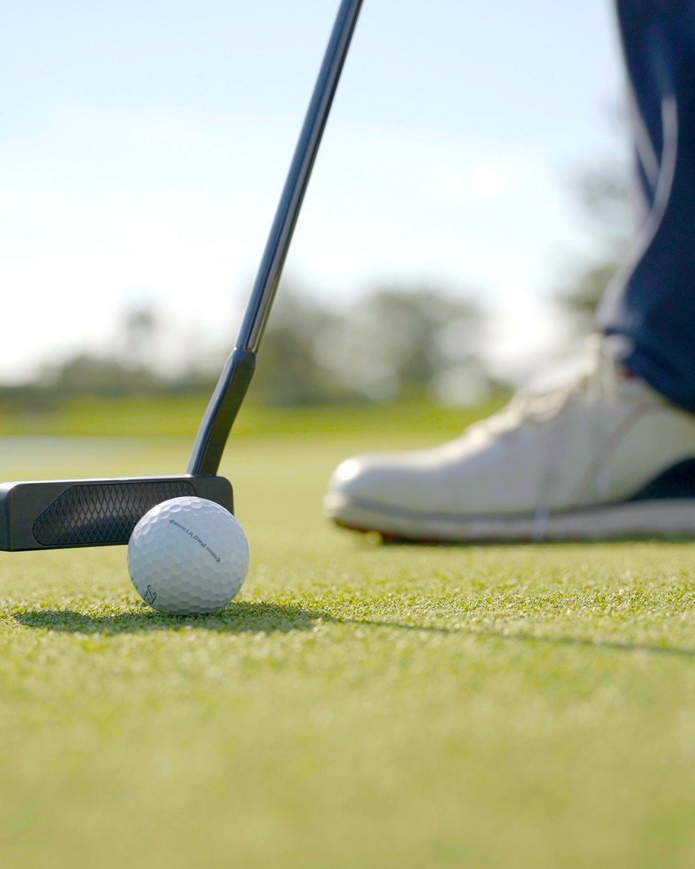 T Squared Putters · Orchard Park, NY TS-503 Blade · view 2 of 4