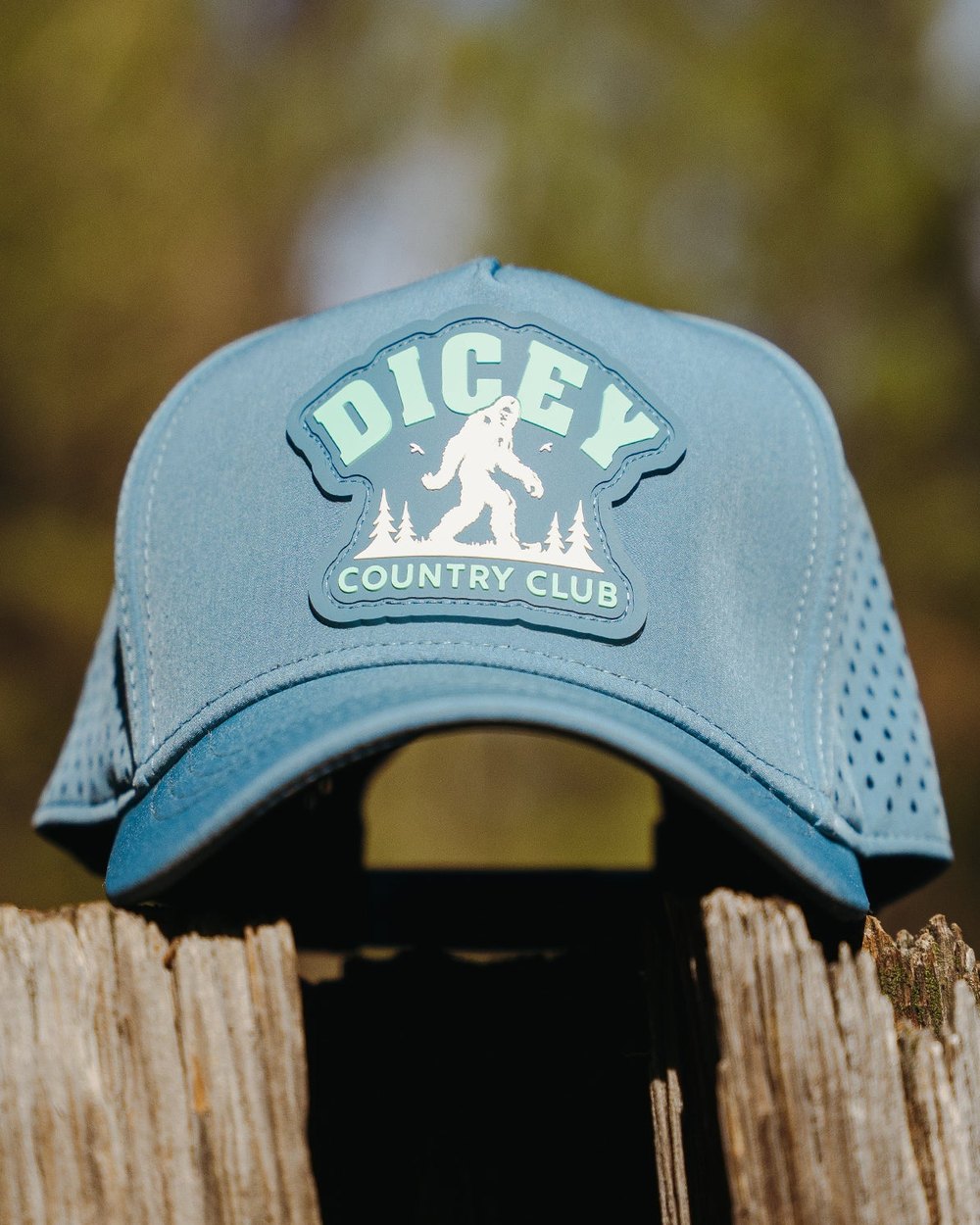 Dicey Golf Frozen Summit Mesh Hat · view 3 of 3
