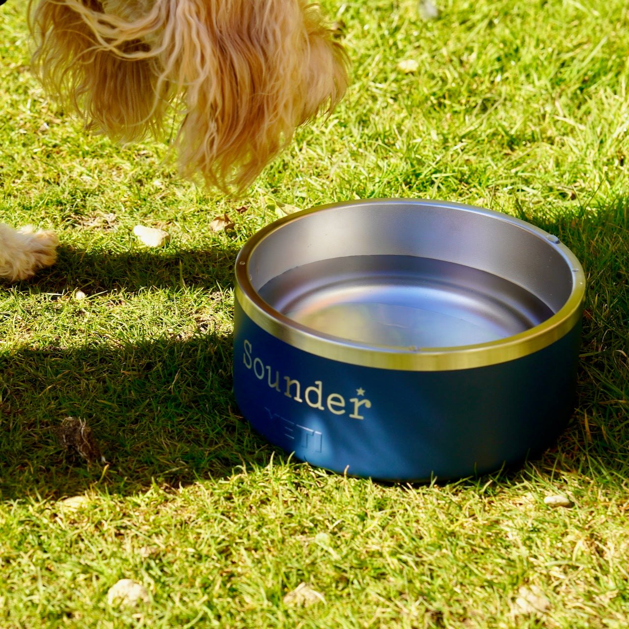 A Sounder x Yeti dog bowl full of water on the grass
