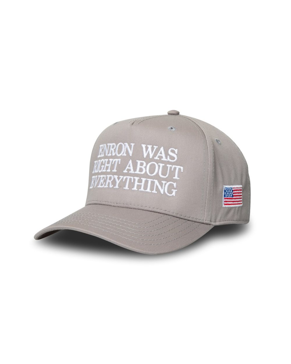 Enron Enron Was Right Snapback Gray or black · view 4 of 5