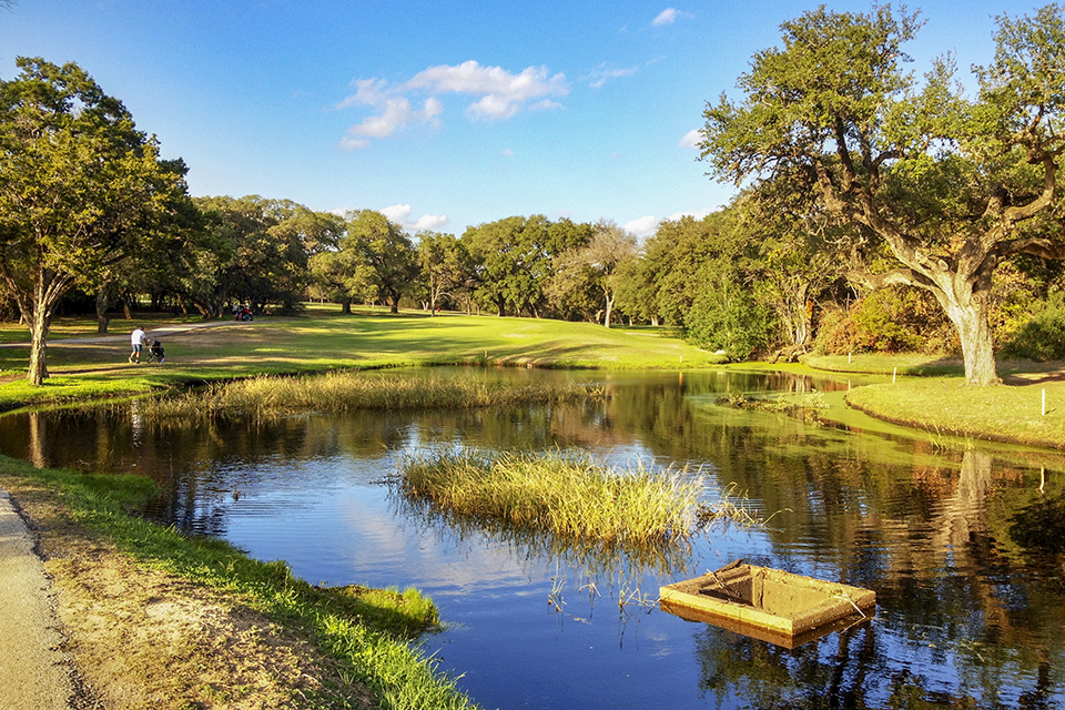 Water hazard framed by live oaks on a golden afternoon at Lions Municipal Golf Course