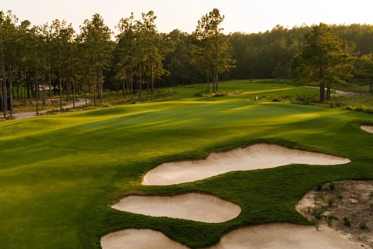 Sandy bunkering and a wall of East Texas pine at Wild Spring Dunes
