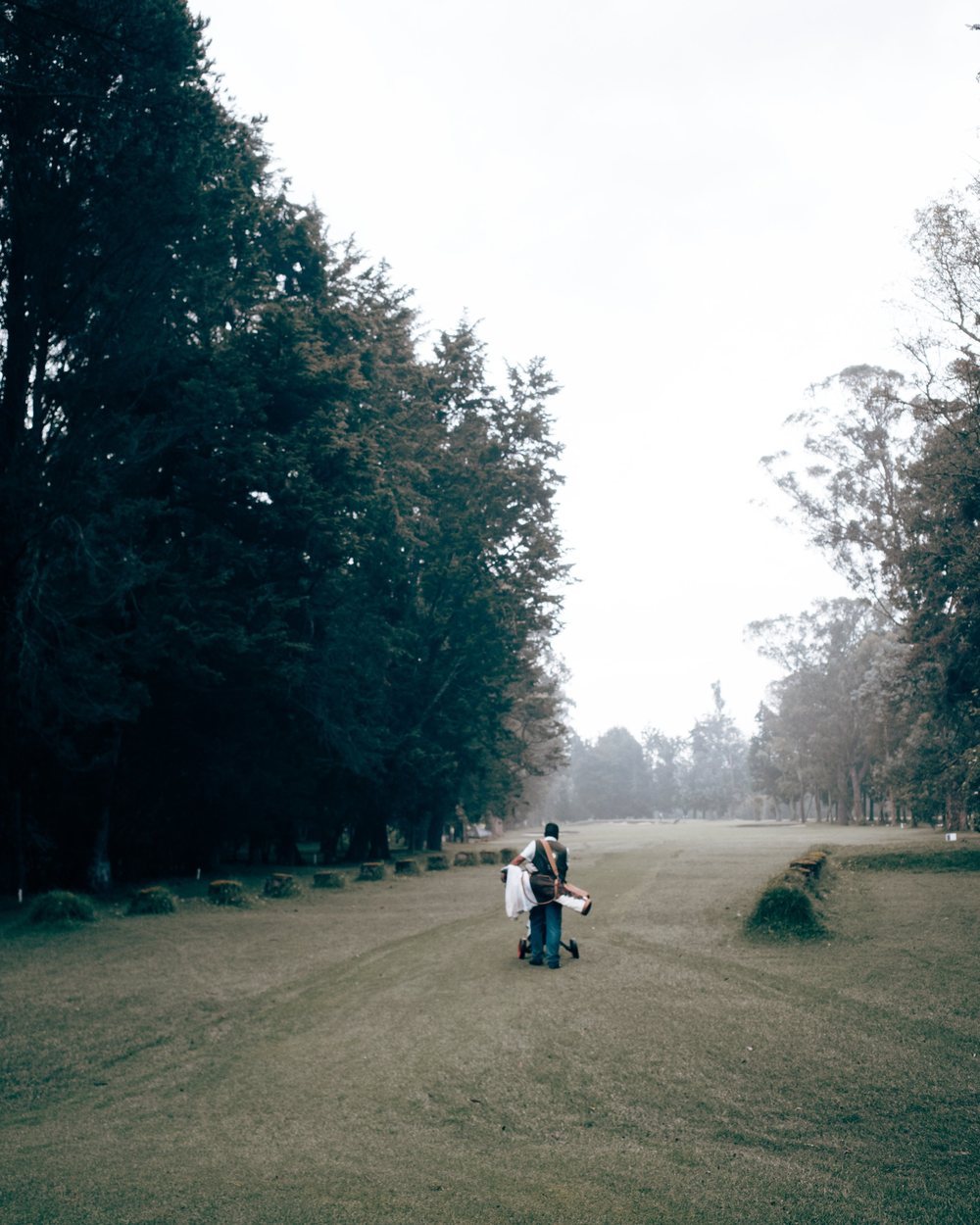 Golfers far down a tree-lined fairway
