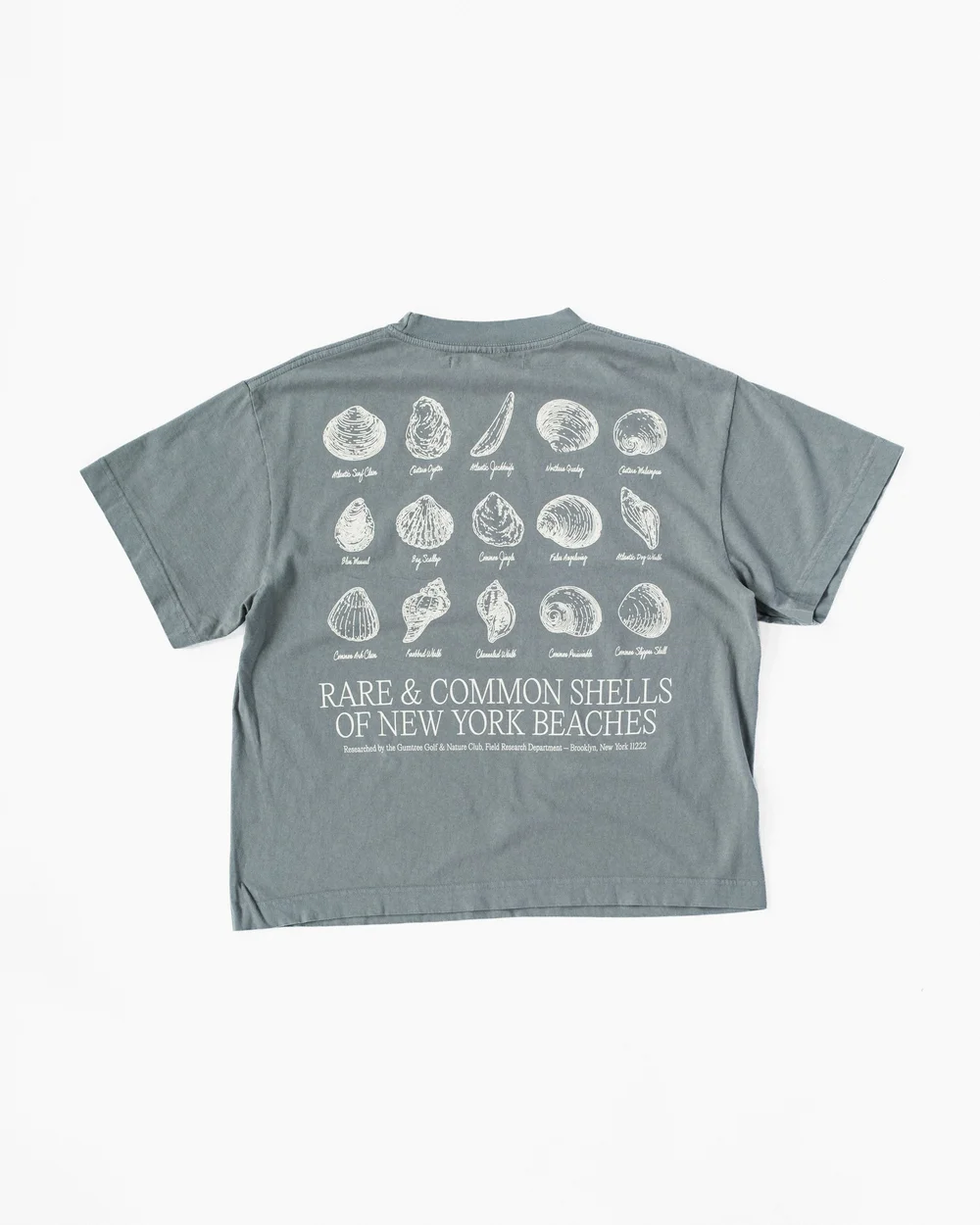 Rare & Common Shells Tee