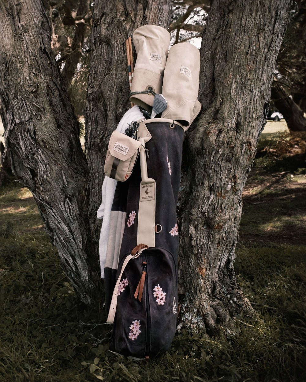 A Gumtree golf bag and headcovers propped against a tree trunk