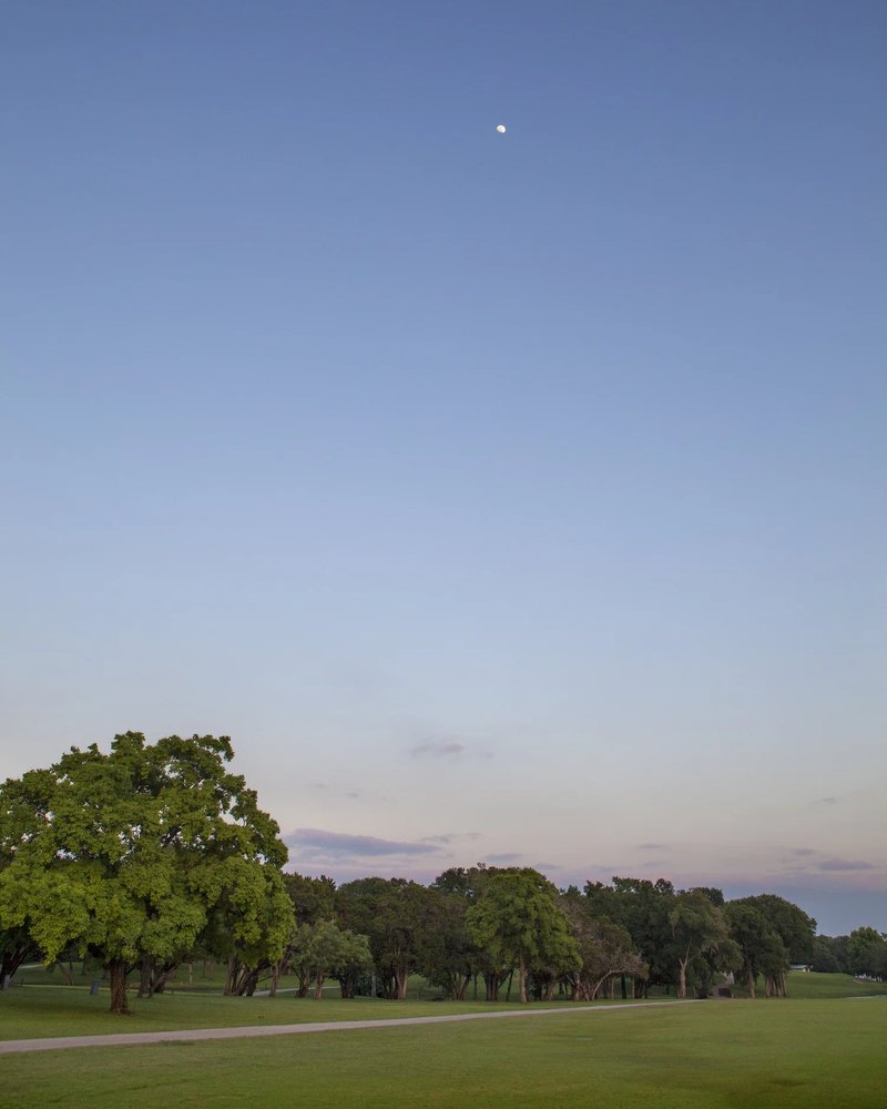 Evening light under the live oaks at Lions Municipal