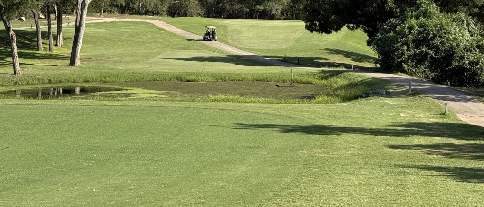 The 16th hole at Lions Municipal Golf Course, Austin