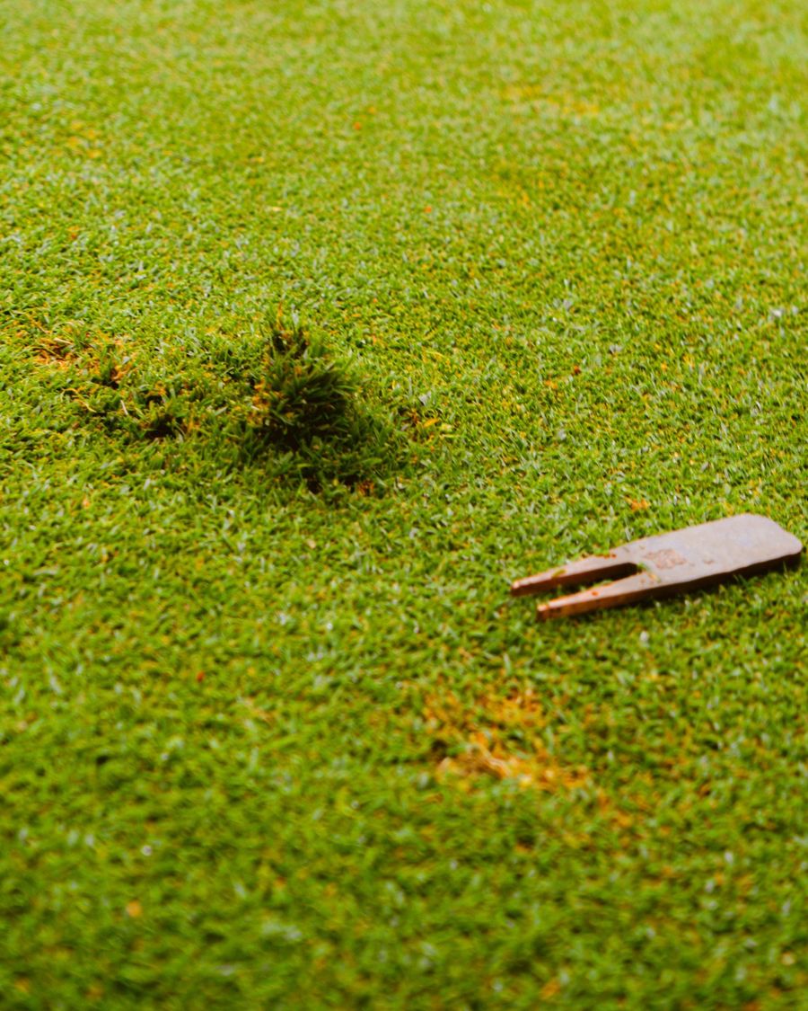 A Magpie hammered repair tool on a green beside a pitch mark