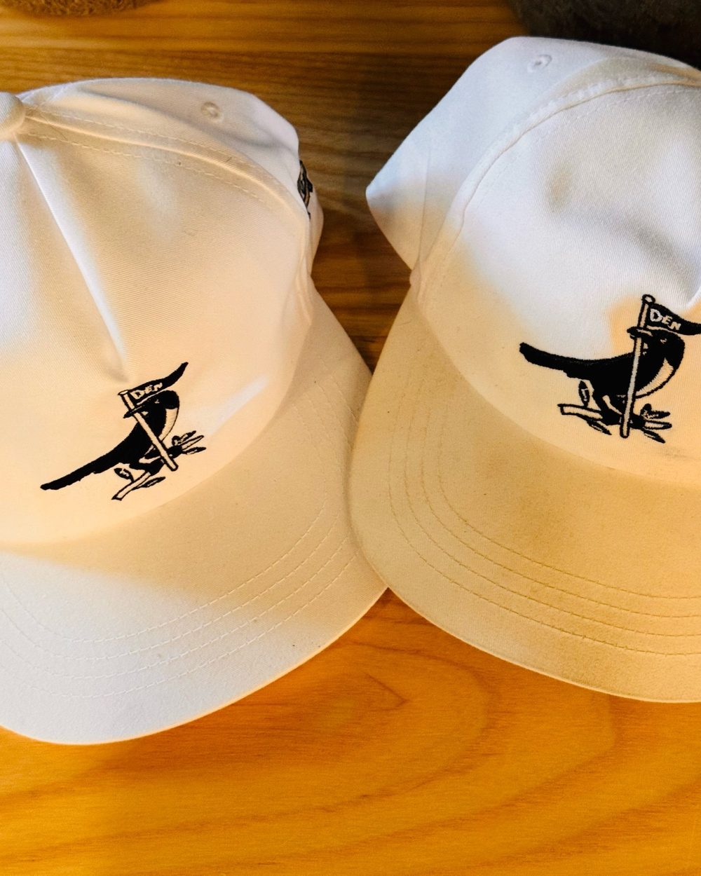Magpie Supply The Staple 5 Panel · view 2 of 2