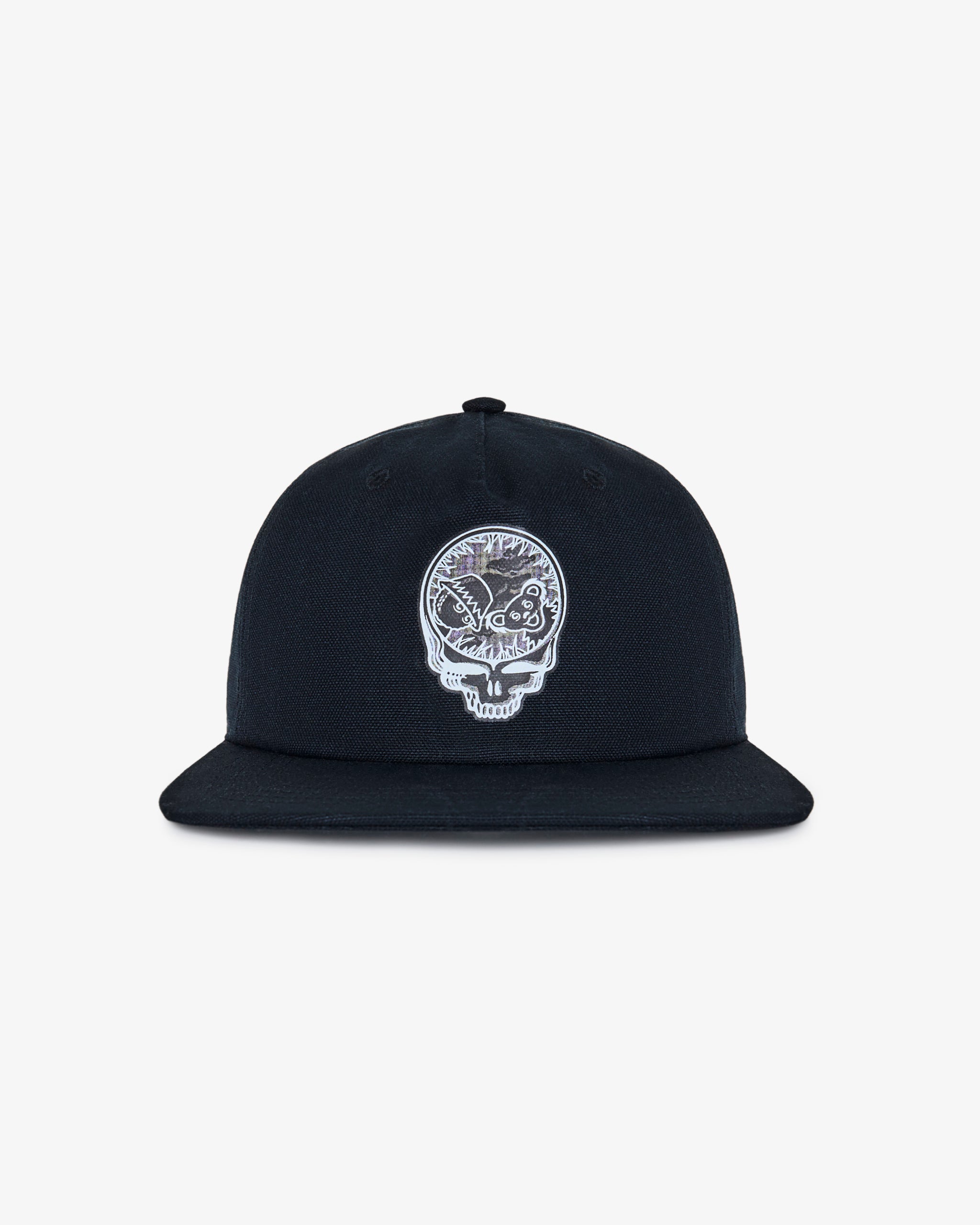 Companion Snapback