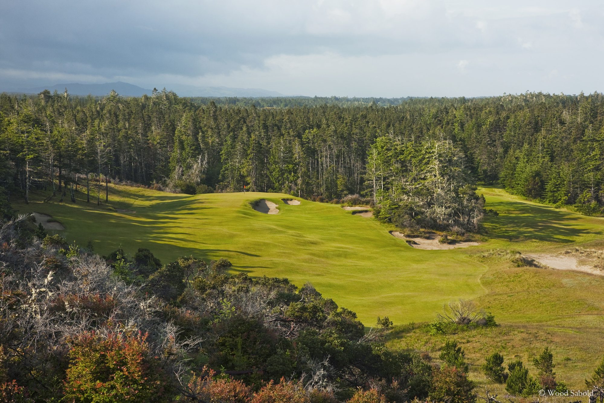 From an elevated tee, Bandon Trails' 14th fairway drops into a bowl ringed by tall coastal forest
