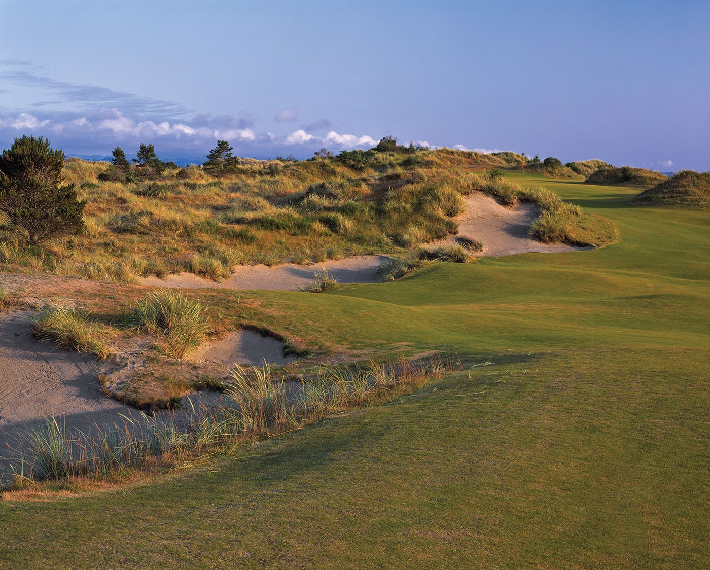 Sand dunes and marram grass in golden light beside a Bandon Trails fairway