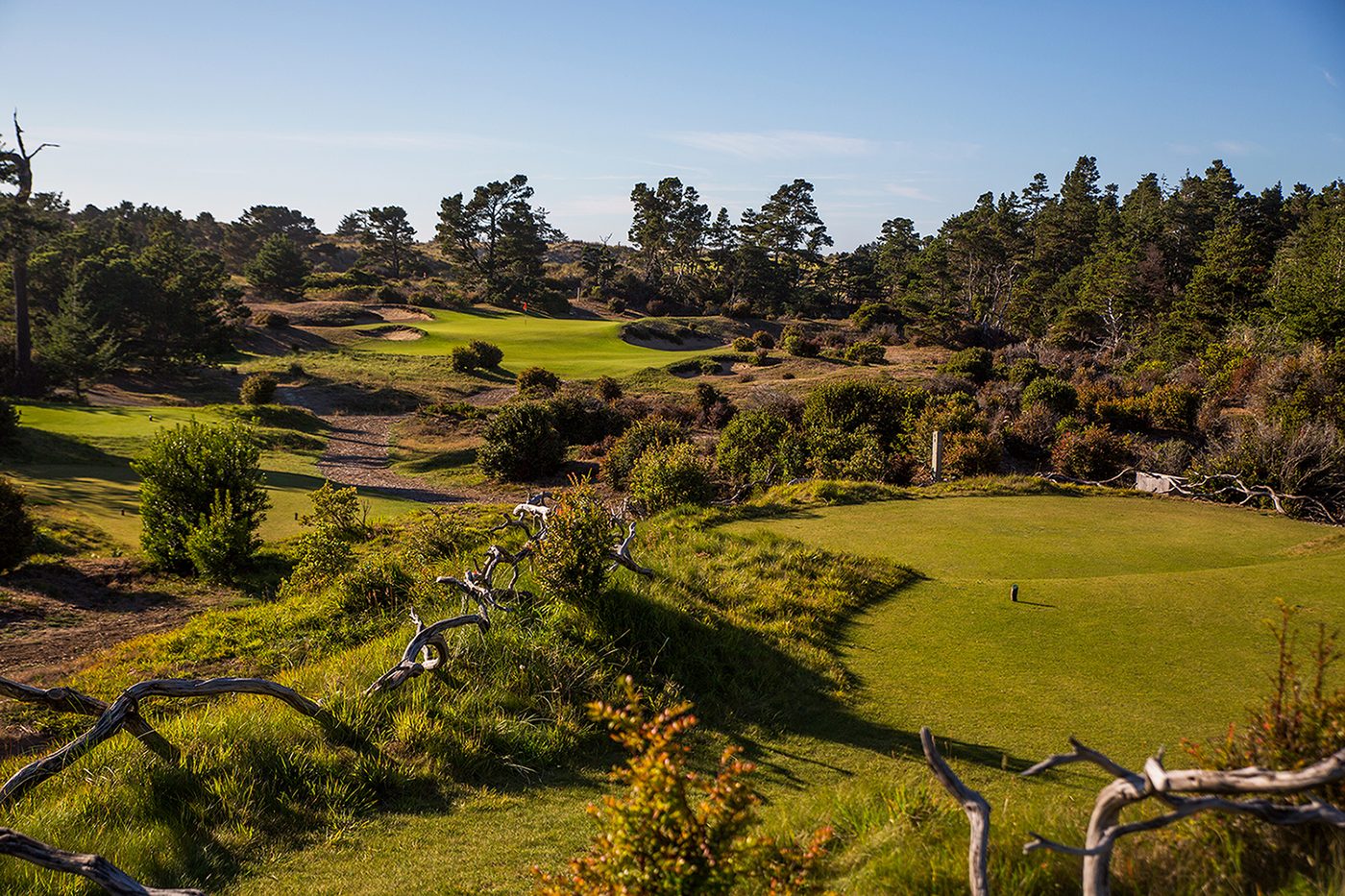 A tee in coastal scrub with a sandy path toward a distant green