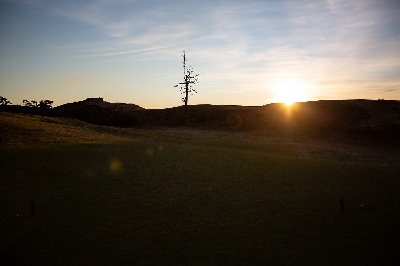 Sunset behind a dune ridge and Old Macdonald's bleached ghost tree