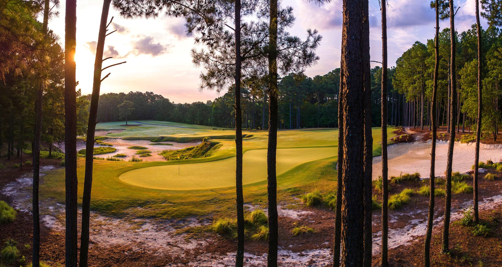 Low sun through pines onto the 11th green at Tobacco Road, sandy waste ground and wire grass in front