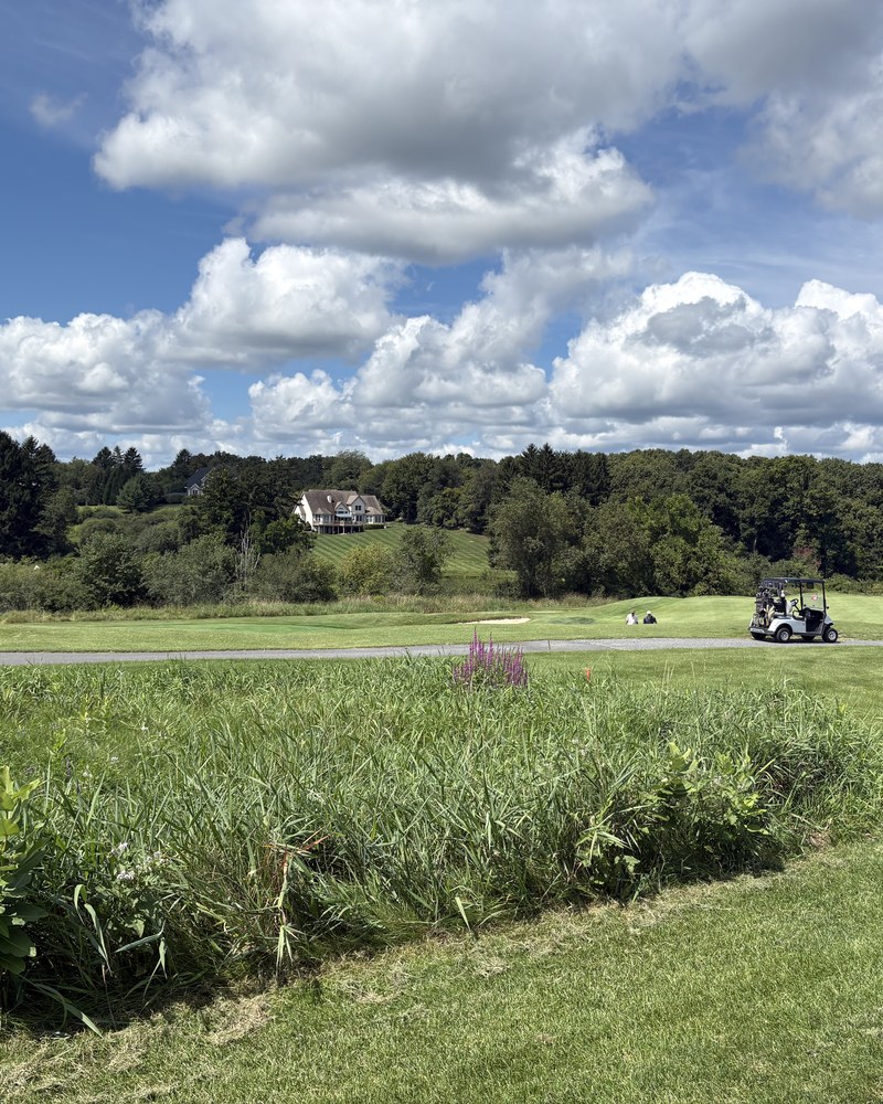 Tall fescue and reeds in the foreground with a golf cart on the fairway beyond
