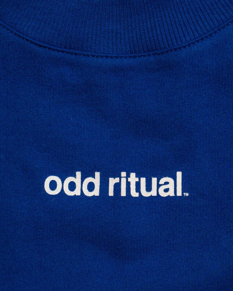 Odd Ritual ORGC Sweater in Blue with back print, on model · view 3 of 4