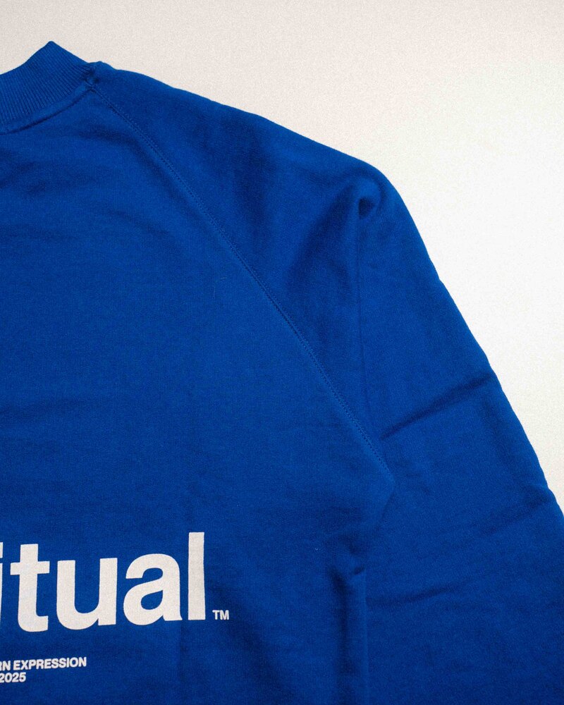 Odd Ritual ORGC Sweater in Blue with back print, on model · view 4 of 4