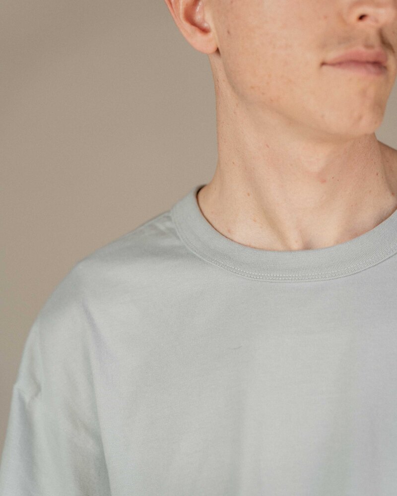 Odd Ritual Minimal Wordmark T-Shirt in Duck Grey, on model · view 3 of 4