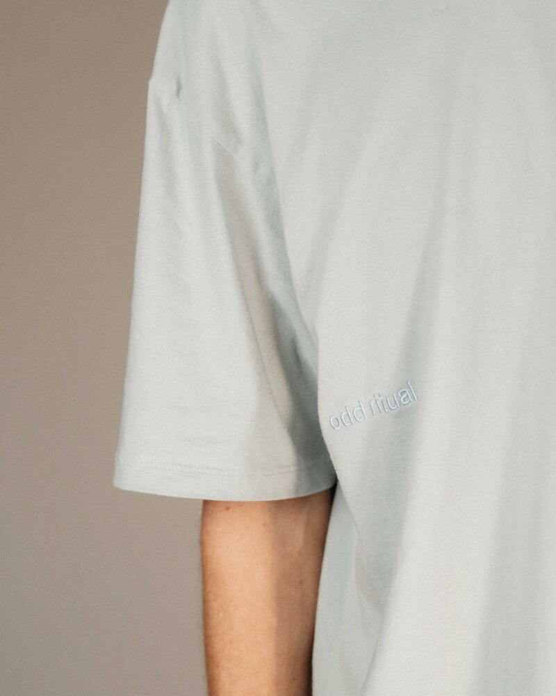 Odd Ritual Minimal Wordmark T-Shirt in Duck Grey, on model · view 4 of 4