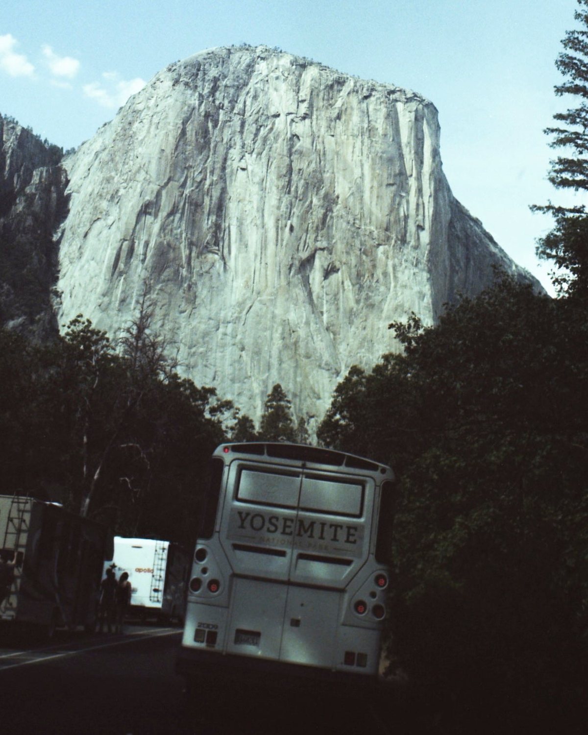 El Capitan above the trees in Yosemite