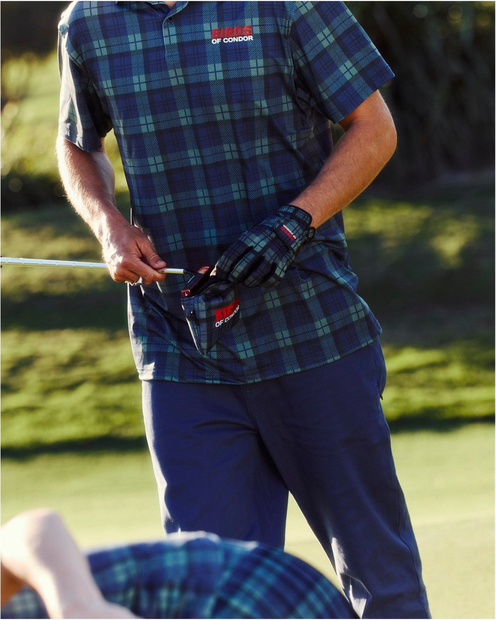 Birds of Condor Lawn Pawn Polo, Blue / Green Plaid · view 4 of 5