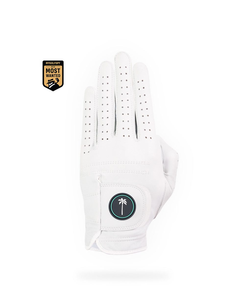 Palm Golf Co. Canvas Glove · view 1 of 3