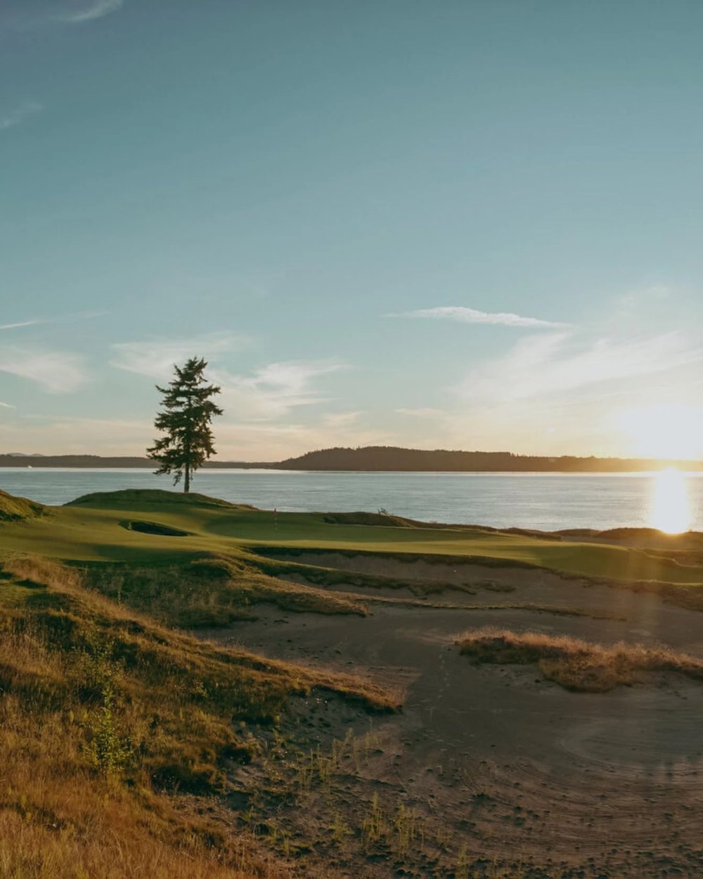 The lone fir tree at Chambers Bay at sunset over Puget Sound