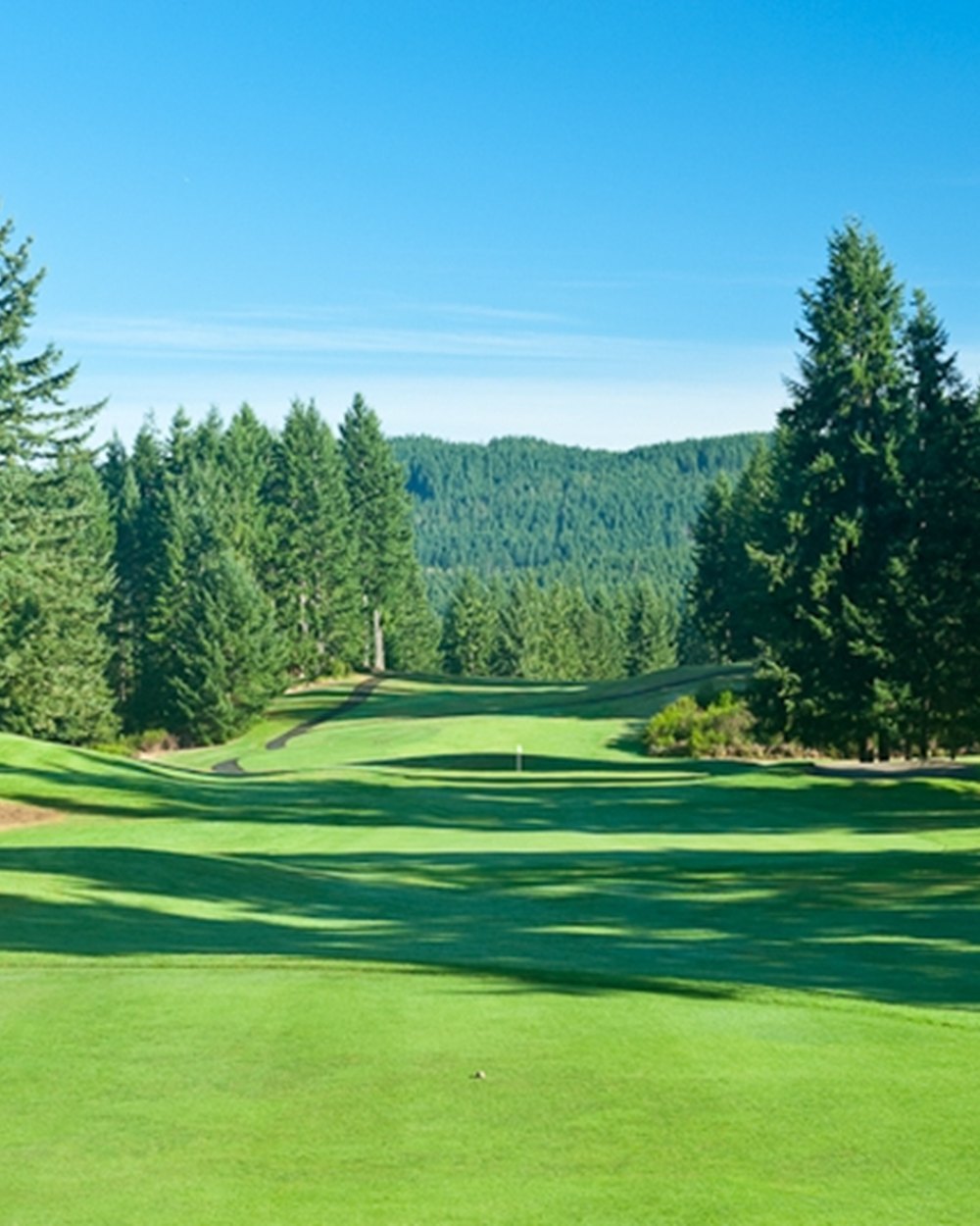 Gold Mountain Golf Club, Olympic Course · view 2 of 3
