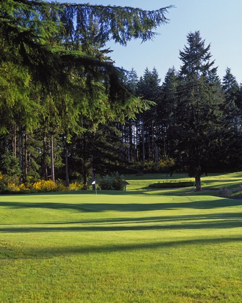 Gold Mountain Golf Club, Olympic Course · view 3 of 3
