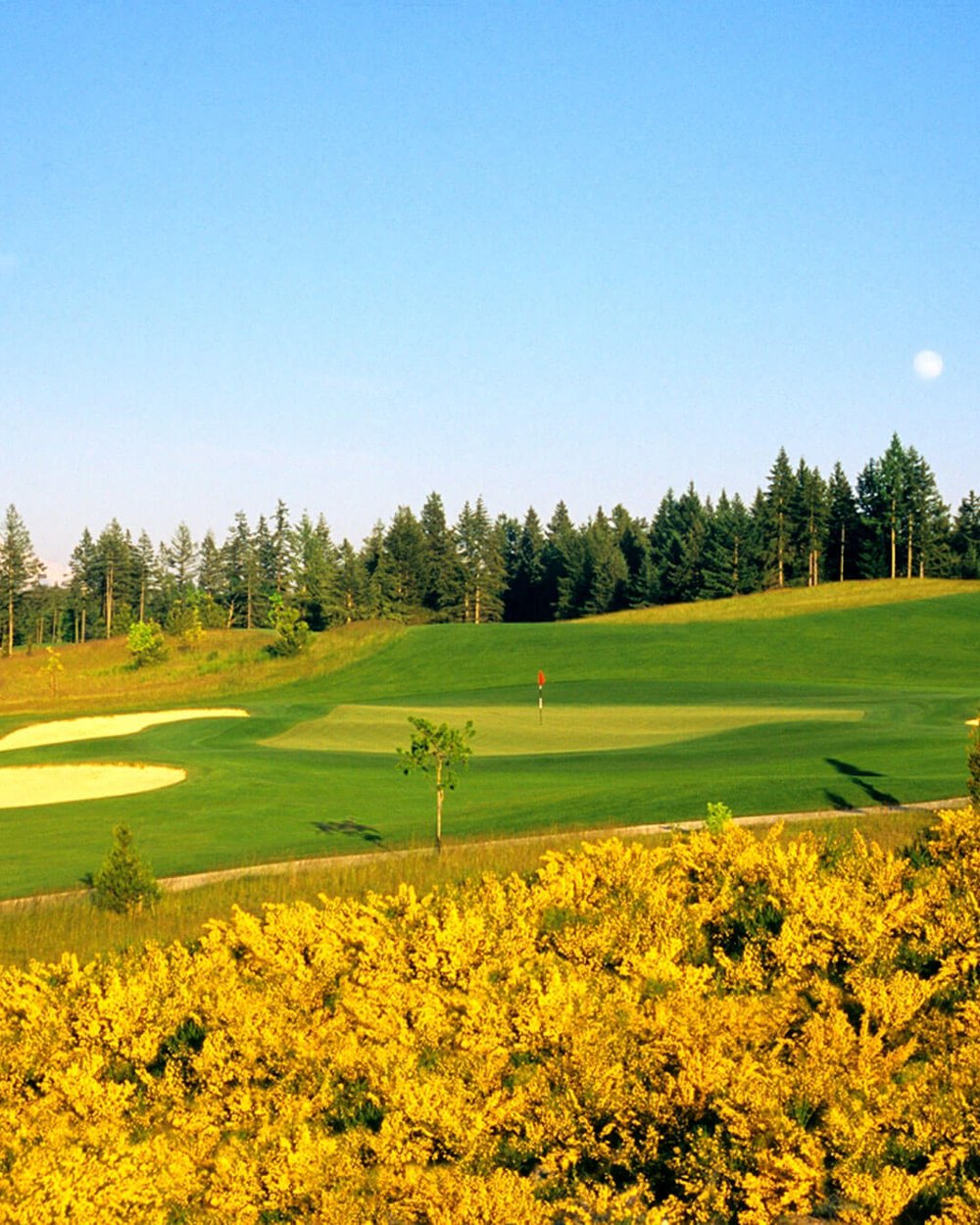 The Home Course · view 4 of 6