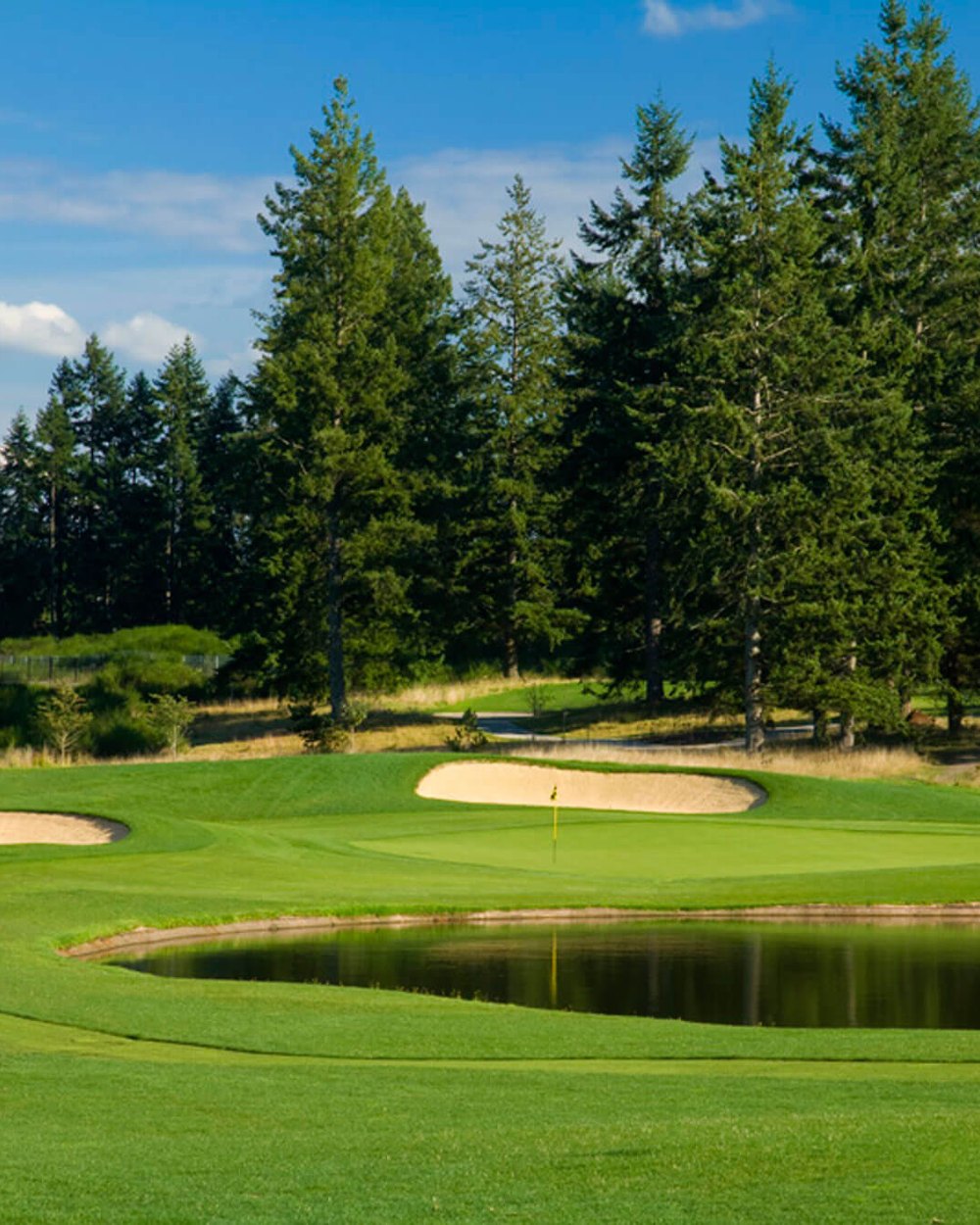 The Home Course · view 5 of 6