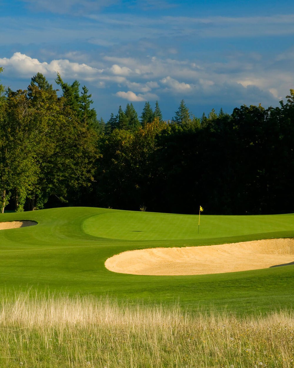 The Home Course · view 6 of 6