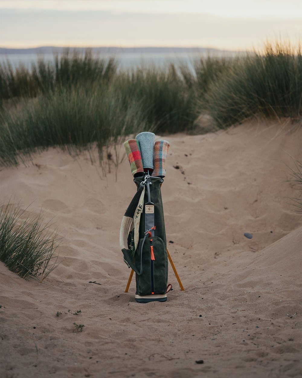 MacKenzie: A MacKenzie in the dunes