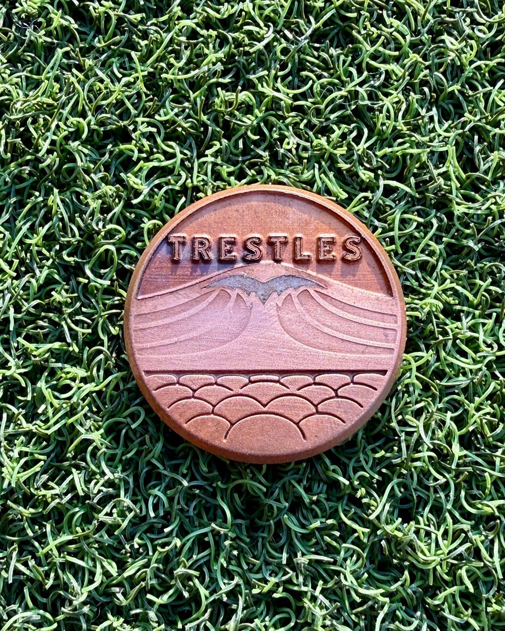 Swell Marks Trestles · view 5 of 5