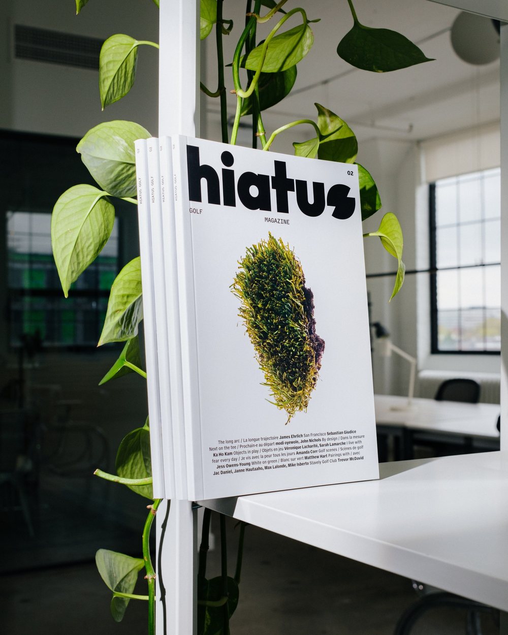 Hiatus No. 2 · view 2 of 3