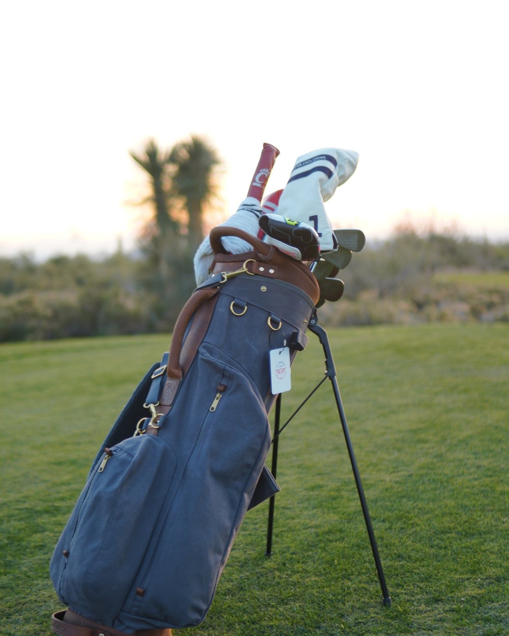 Shoal Golf Co. The Standard Bag · view 1 of 10