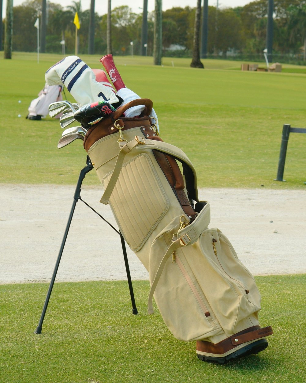 Shoal Golf Co. The Standard Bag · view 3 of 10