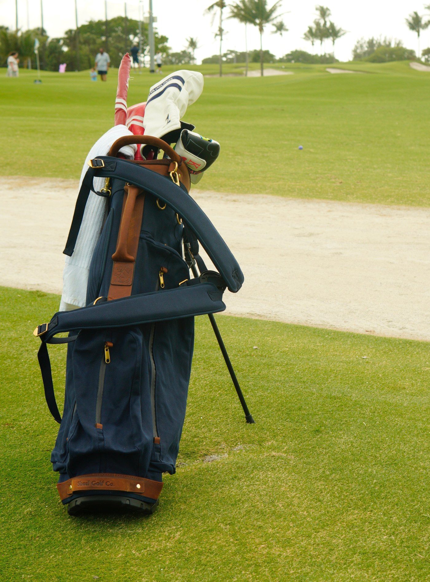The Shoal Standard Bag in navy canvas · view 3 of 4