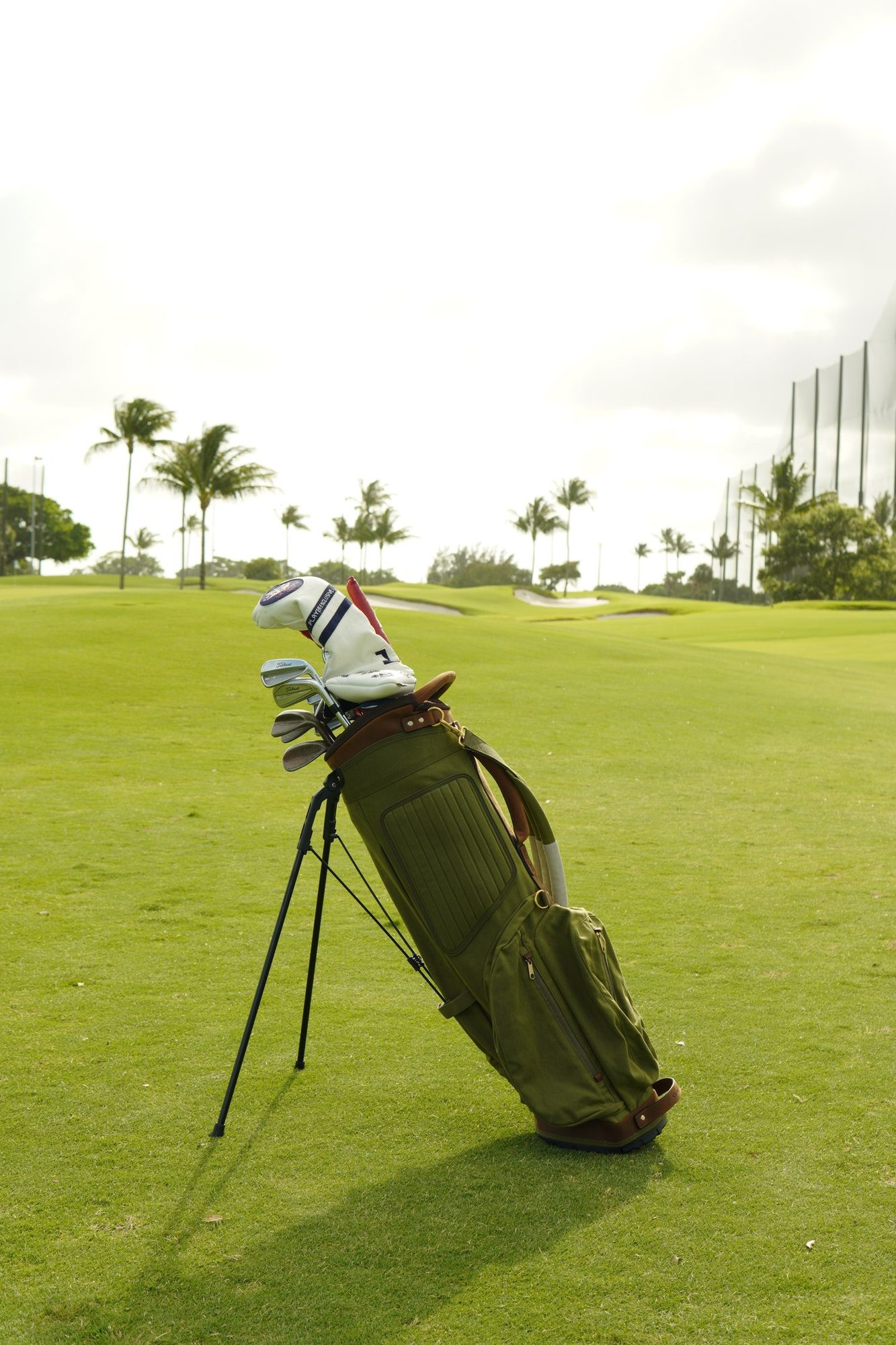 The Shoal Standard Bag in sage canvas · view 3 of 4