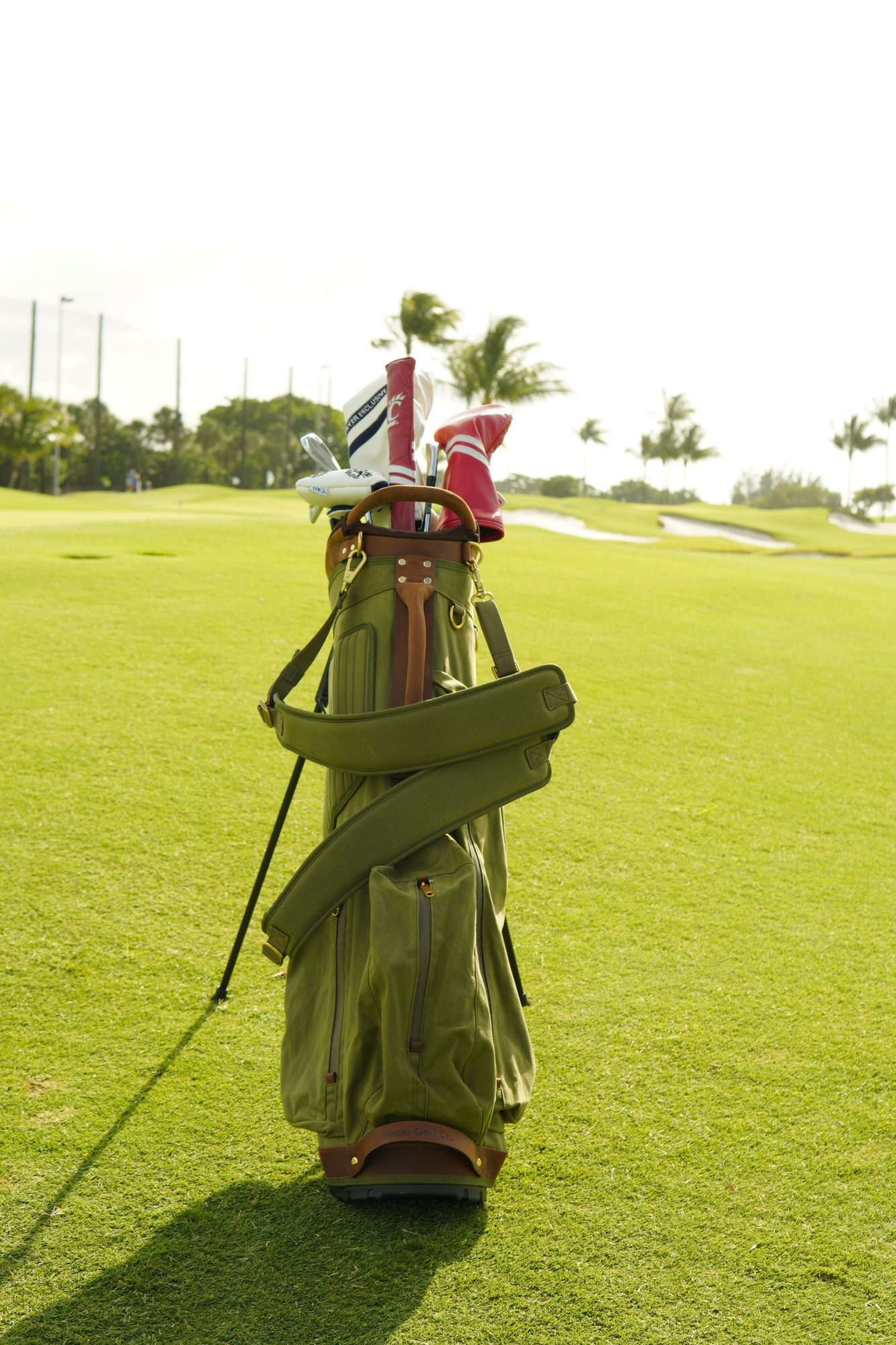 The Shoal Standard Bag in sage canvas · view 4 of 4