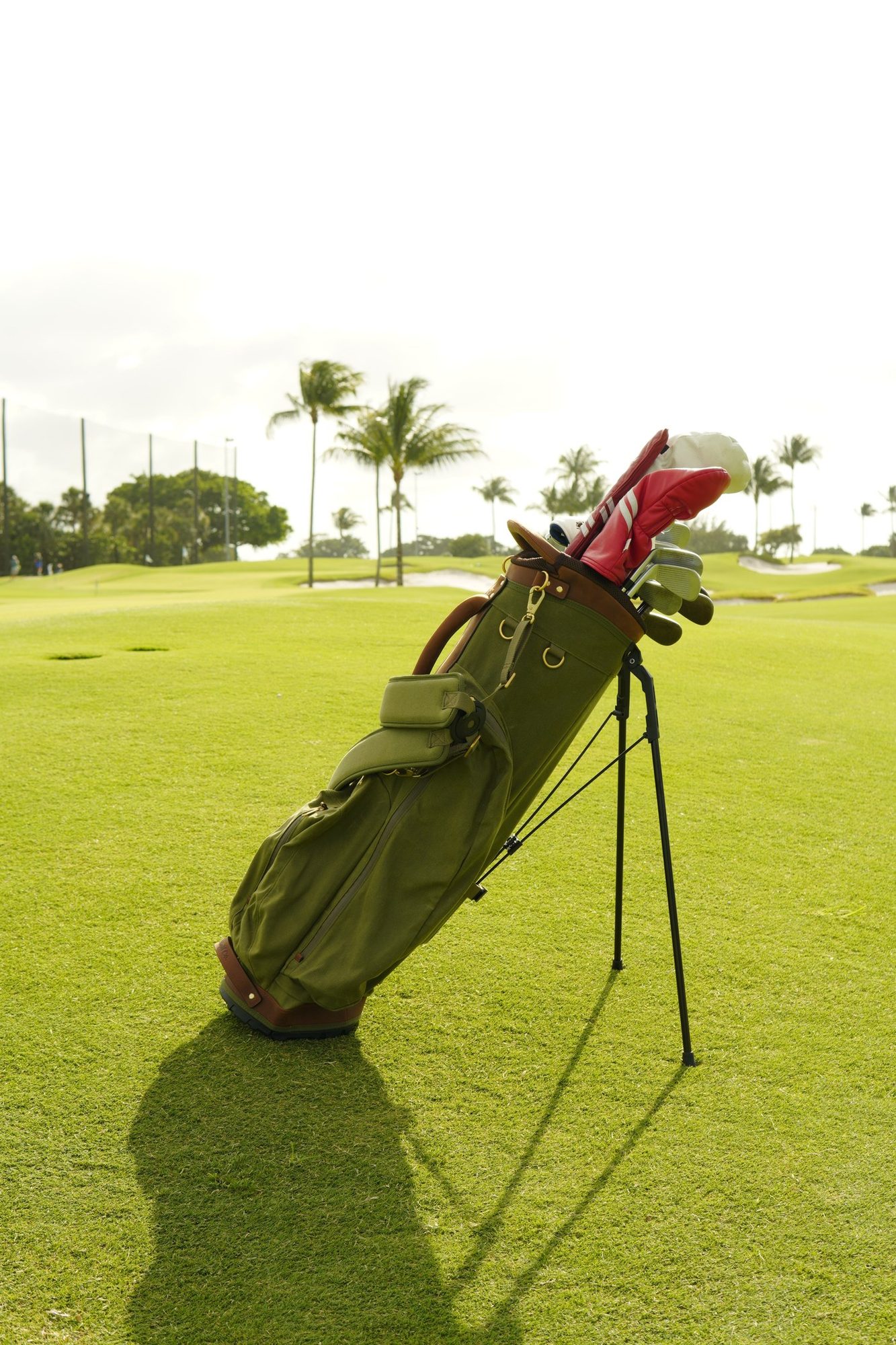 The Shoal Standard Bag in sage canvas · view 2 of 4