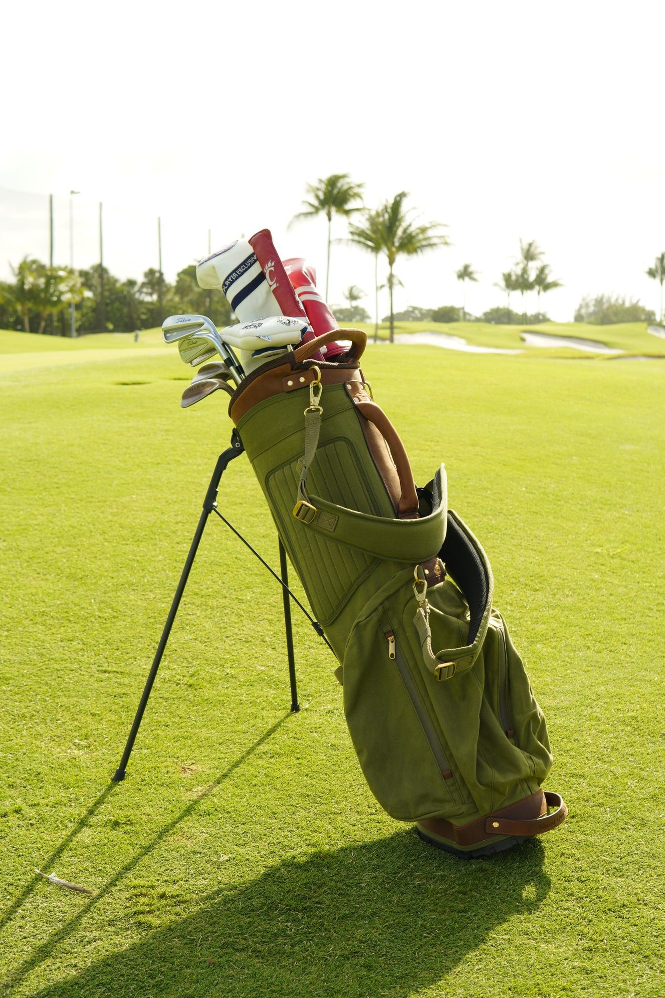 The Shoal Standard Bag in sage canvas · view 1 of 4